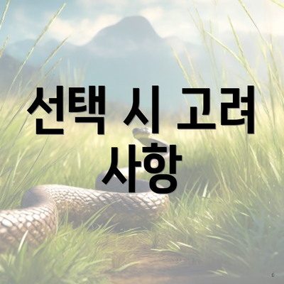 선택 시 고려 사항