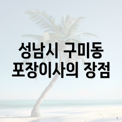 성남시 구미동 포장이사의 장점