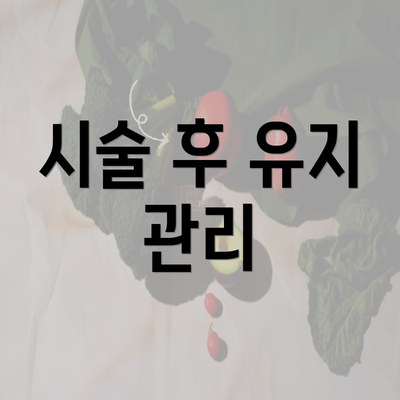 시술 후 유지 관리