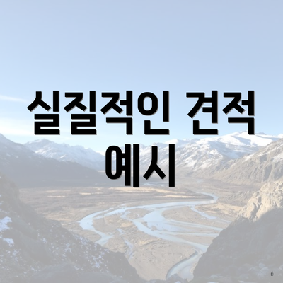 실질적인 견적 예시