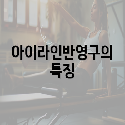 아이라인반영구의 특징