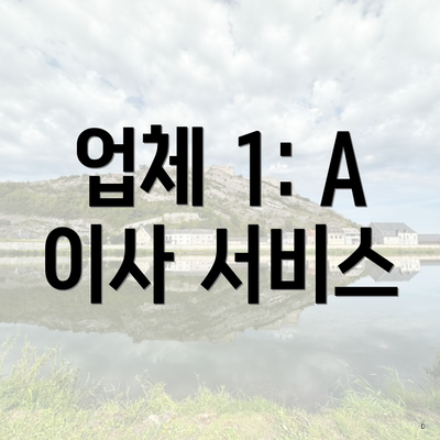 업체 1: A 이사 서비스