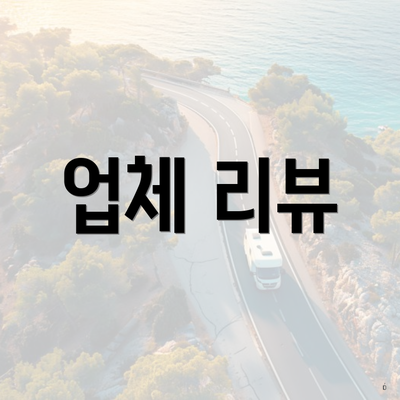 업체 리뷰