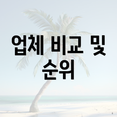 업체 비교 및 순위