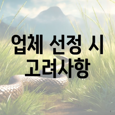 업체 선정 시 고려사항