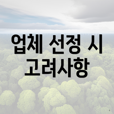 업체 선정 시 고려사항