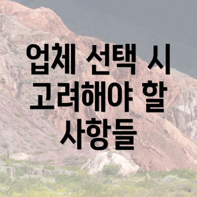 업체 선택 시 고려해야 할 사항들