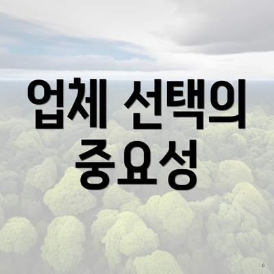 업체 선택의 중요성