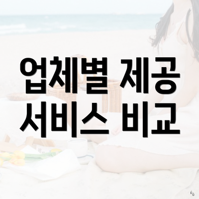 업체별 제공 서비스 비교