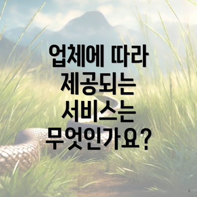 업체에 따라 제공되는 서비스는 무엇인가요?