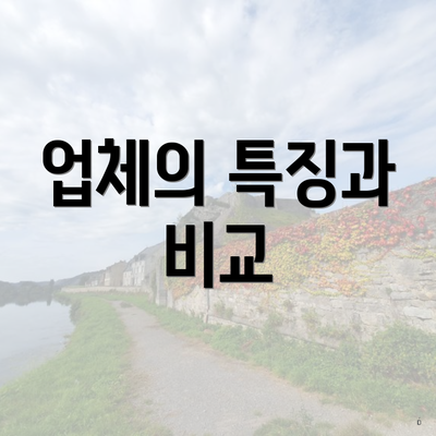 업체의 특징과 비교