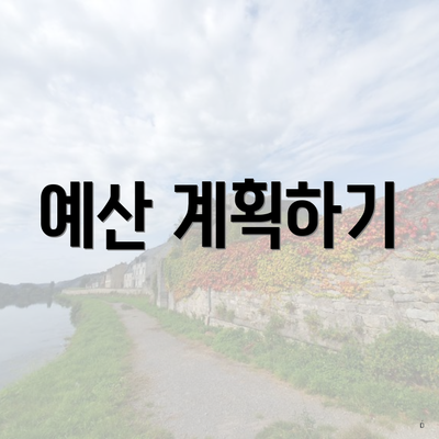 예산 계획하기