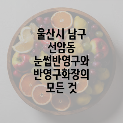 울산시 남구 선암동 눈썹반영구와 반영구화장의 모든 것