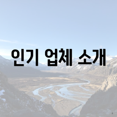 인기 업체 소개