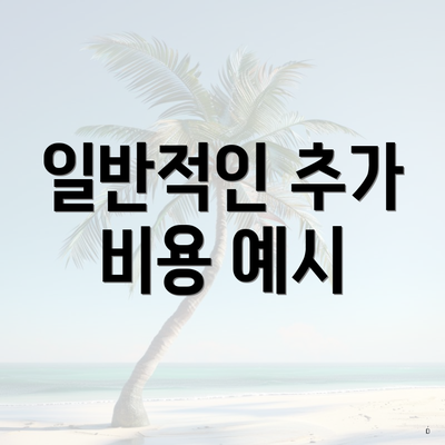 일반적인 추가 비용 예시