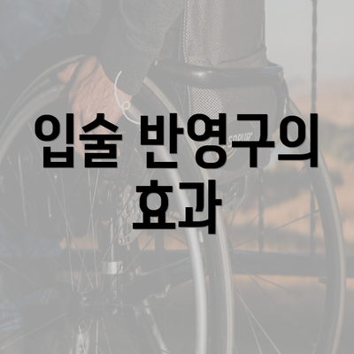 입술 반영구의 효과