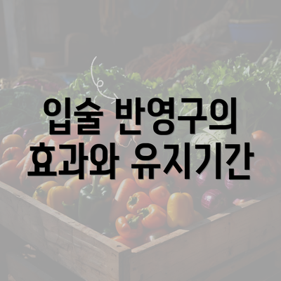 입술 반영구의 효과와 유지기간