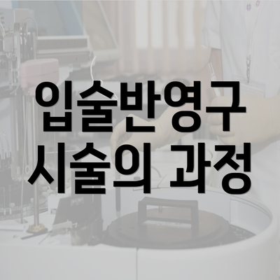 입술반영구 시술의 과정