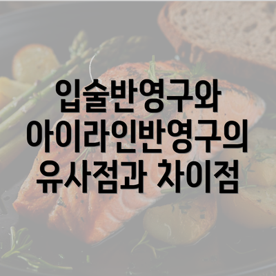 입술반영구와 아이라인반영구의 유사점과 차이점