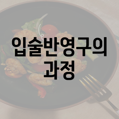 입술반영구의 과정