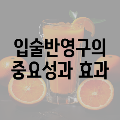 입술반영구의 중요성과 효과