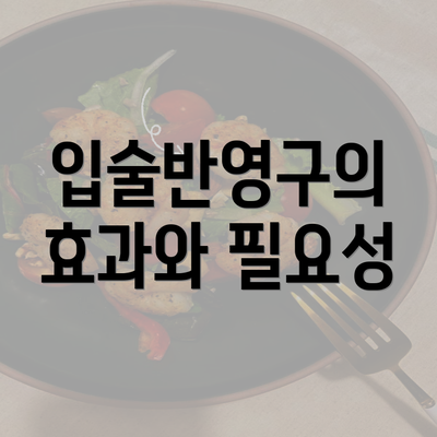 입술반영구의 효과와 필요성