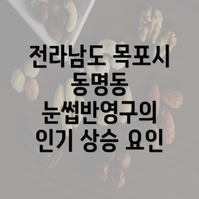 전라남도 목포시 동명동 눈썹반영구의 인기 상승 요인