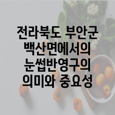 전라북도 부안군 백산면에서의 눈썹반영구의 의미와 중요성