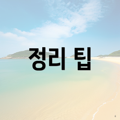 정리 팁