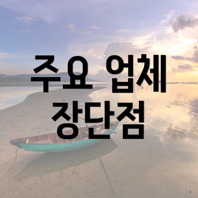 주요 업체 장단점