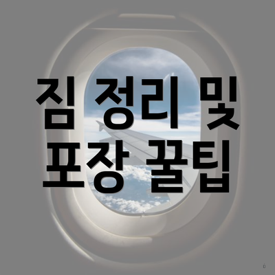 짐 정리 및 포장 꿀팁