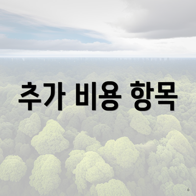 추가 비용 항목