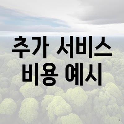 추가 서비스 비용 예시