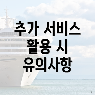 추가 서비스 활용 시 유의사항