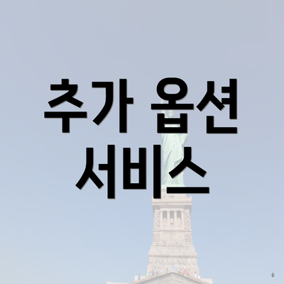 추가 옵션 서비스