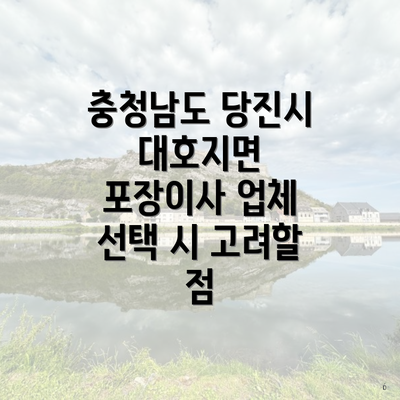 충청남도 당진시 대호지면 포장이사 업체 선택 시 고려할 점