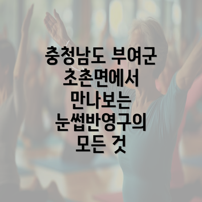 충청남도 부여군 초촌면에서 만나보는 눈썹반영구의 모든 것