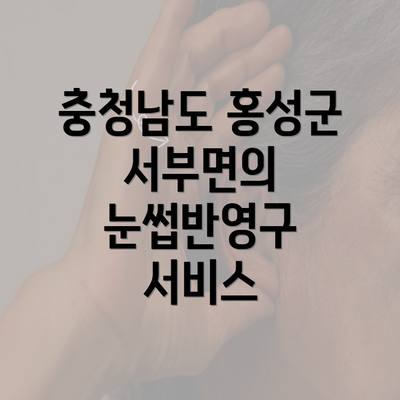 충청남도 홍성군 서부면의 눈썹반영구 서비스