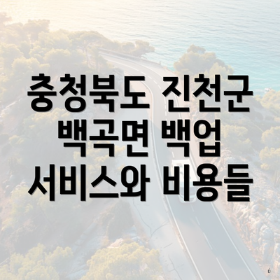 충청북도 진천군 백곡면 백업 서비스와 비용들