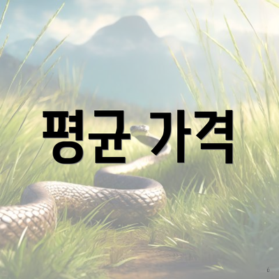 평균 가격