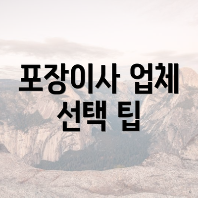 포장이사 업체 선택 팁