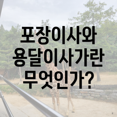 포장이사와 용달이사가란 무엇인가?