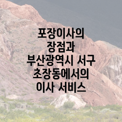 포장이사의 장점과 부산광역시 서구 초장동에서의 이사 서비스