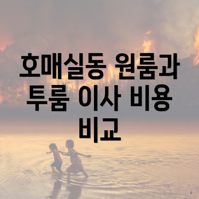 호매실동 원룸과 투룸 이사 비용 비교